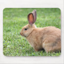 Search for easter bunny mousepads Cute
