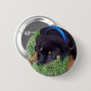 Search for rottweilers badges Puppy
