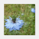 Search for cornflower blue kitchen accessories Plant