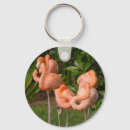 Search for sanctuary key rings Bird