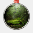 Search for woods christmas tree decorations Forest