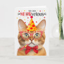 Search for ginger cat birthday cards Pets