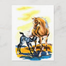 Search for colt postcards Stallion