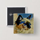 Search for siamese badges Feline