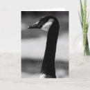 Search for canada goose cards Cute