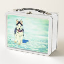 Search for husky lunch boxes Puppy