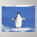 Search for cute penguins art Birds