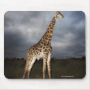 Search for tranquil scene mousepads Side view