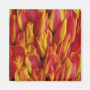 Search for float magnets Flower