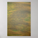 Search for colfax posters Usa