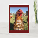 Search for cool chicken postcards Friend