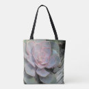Search for arid bags Desert