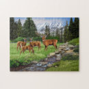 Search for red deer puzzles Wilderness