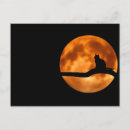 Search for moon cat postcards Night