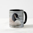 Search for canada goose mugs Bird