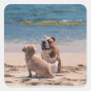 Search for dog on beach stickers Horizontal