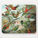 Search for hummingbird mousepads Birds