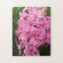 Search for hyacinth puzzles Pink