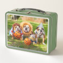 Search for cats lunch boxes Cute animal