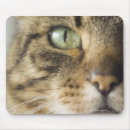 Search for selective mousepads Indoors