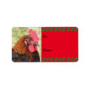 Search for marans Hen