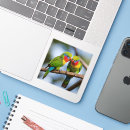 Search for parrot stickers Lorikeet