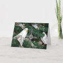 Search for parakeet christmas cards Xmas
