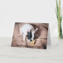 Search for frenchie christmas cards Frenchy