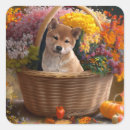 Search for shiba inu stickers Pets
