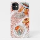 Search for marine life cases Ernst haeckel