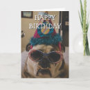 Search for wearing sunglasses cards Funny