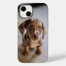 Search for miniature iphone cases Domestic animals