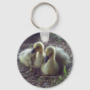 Search for yellow duck key rings Ducks