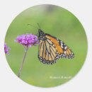 Search for monarch stickers Animal