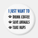 Search for napping magnets Cats