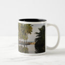 Search for playa mugs Dominican republic
