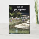 Search for from all of us birthday cards Photography
