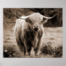 Search for monotone posters Brown