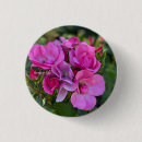 Search for rose badges Party