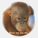 Search for love life stickers Baby
