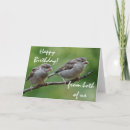 Search for sparrow cards Nature