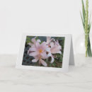 Search for resurrection cards Lily