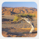 Search for barren stickers Desert