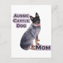 Search for acd postcards Cattle