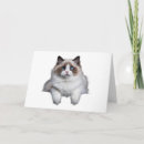 Search for crazy in love cards Cat lover