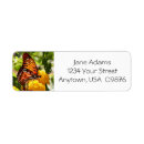 Search for monarch butterfly return address labels Garden