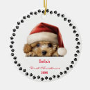 Search for bichon frise christmas tree decorations White