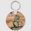 Search for ground key rings Wildlife