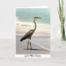 Search for bird flight cards Ocean