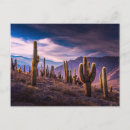 Search for altiplano postcards Desert